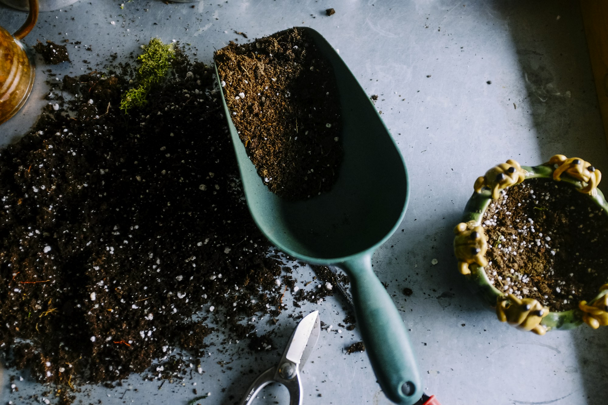 Room for plants, pollinators, and possibility